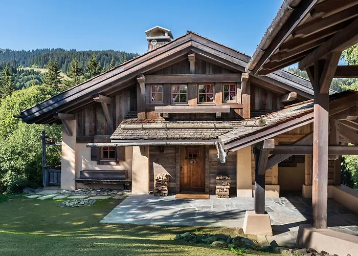 Familial A Avec Piscine Et Sauna Pour 12 Personnes - Fr-1-569-2 *