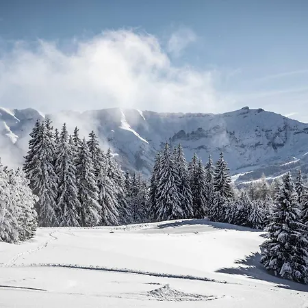 Familial A Avec Piscine Et Sauna Pour 12 Personnes - Fr-1-569-2 Megève