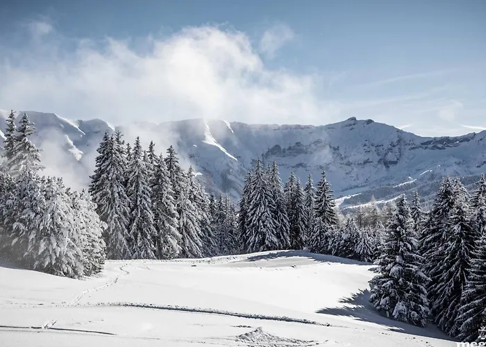 Familial A Avec Piscine Et Sauna Pour 12 Personnes - Fr-1-569-2 Chalet